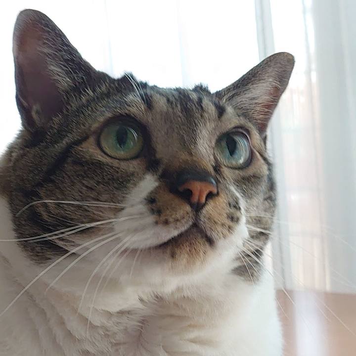 6a6d2a2e 3ce4 4632 af9a 54ec0c44f33f 1592007092553