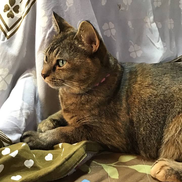 6a6d2e39 f7fa 423a a3f2 17519f95282d 1732180933552