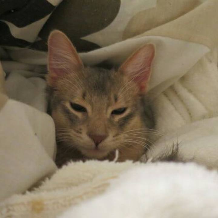 6a6d6b71 ded2 4bed 9767 62ccd8aed51e 1541592318410