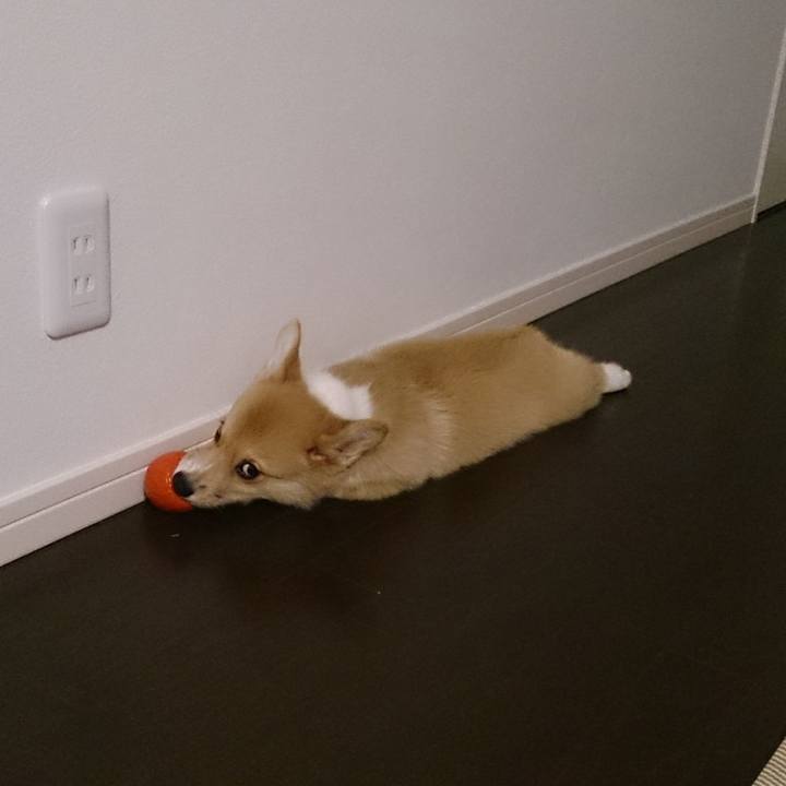 6a6d816a 41b0 4bc7 b2da 9852bb860f0d 1526462200521