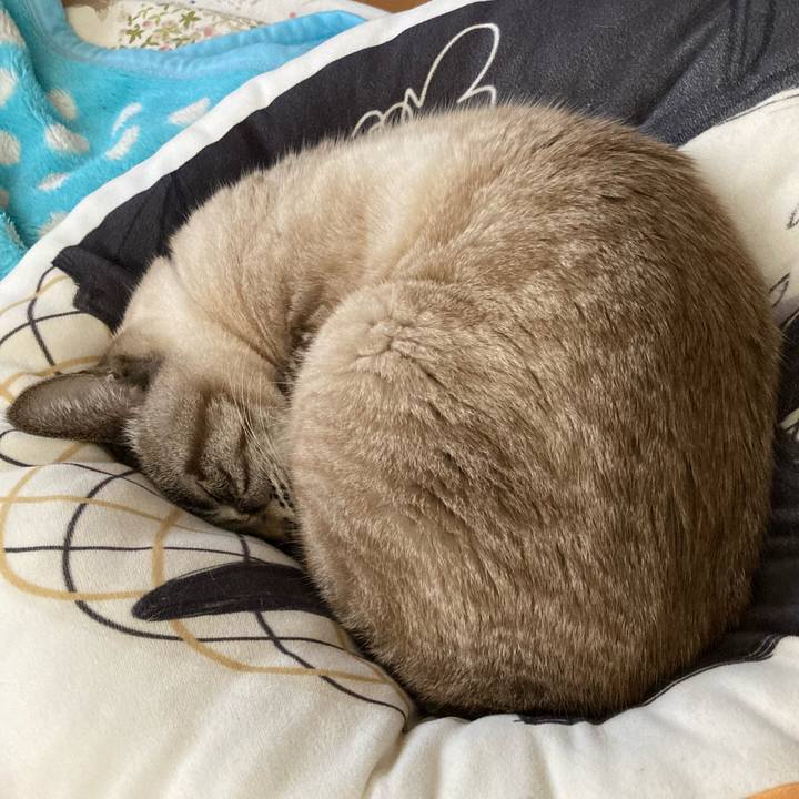 6a6d8d09 f0d8 459f 8784 8d5efd6acc80 1771730035592