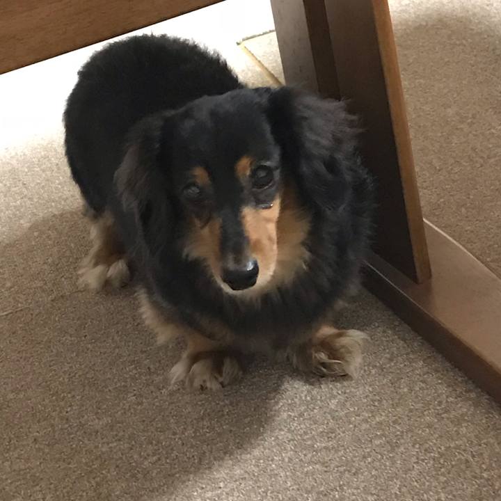 6a6d8d1d 694a 4251 a3ae babfb0e74b45 1539640742018