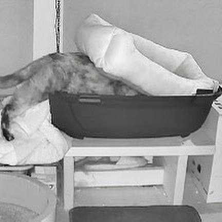 6a6d92bc 69bb 4188 9b10 fa4686d86636 1764191153719