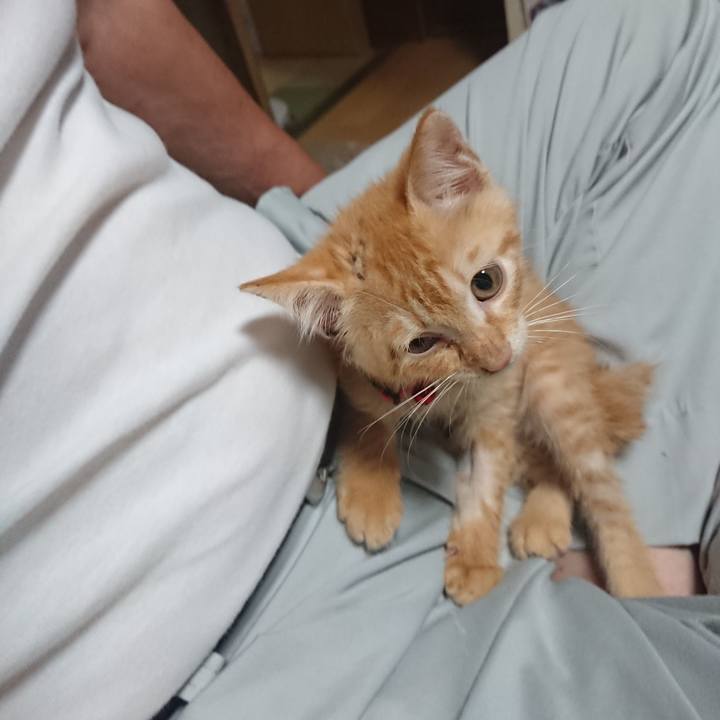 6a6e02a4 c9e5 4383 bc3a 3c94145cf91a 1628330256957