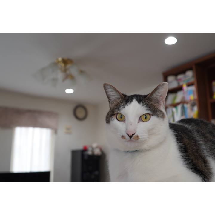 6a6e11af e1b2 40ee b455 4ba3da4fb7f0 1615551681019