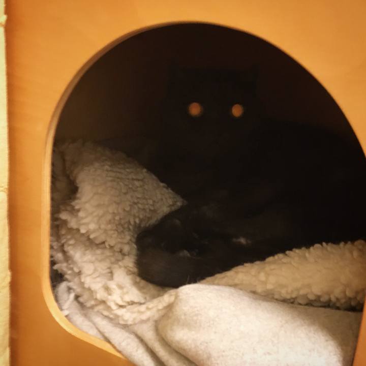 6a6e2a9c f08a 4990 9f8c 8a7120f10dab 1575210878228