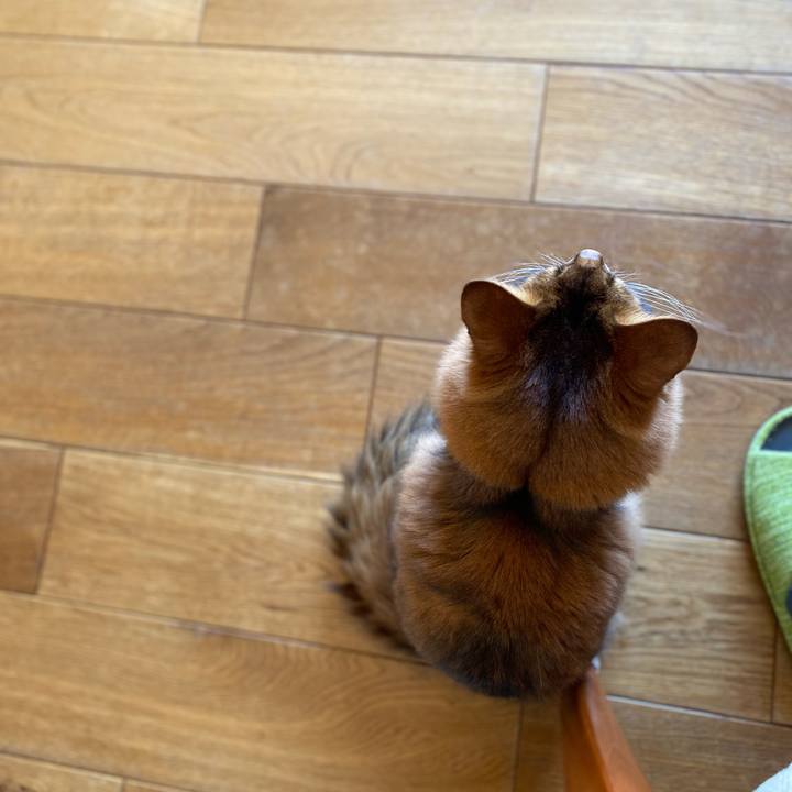 6a6e306d 8a88 4d26 a04e 94329e92061c 1681091988756