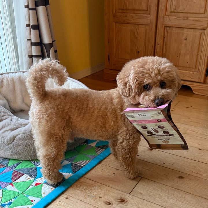 6a6e4a4d c988 4673 a91a 71658386aa57 1773357479109