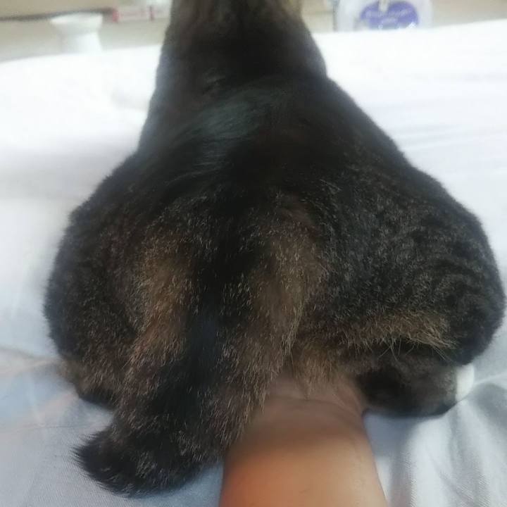 6a6e597a 2873 4e5f bc3d feb03a9b9ac4 1627076742961