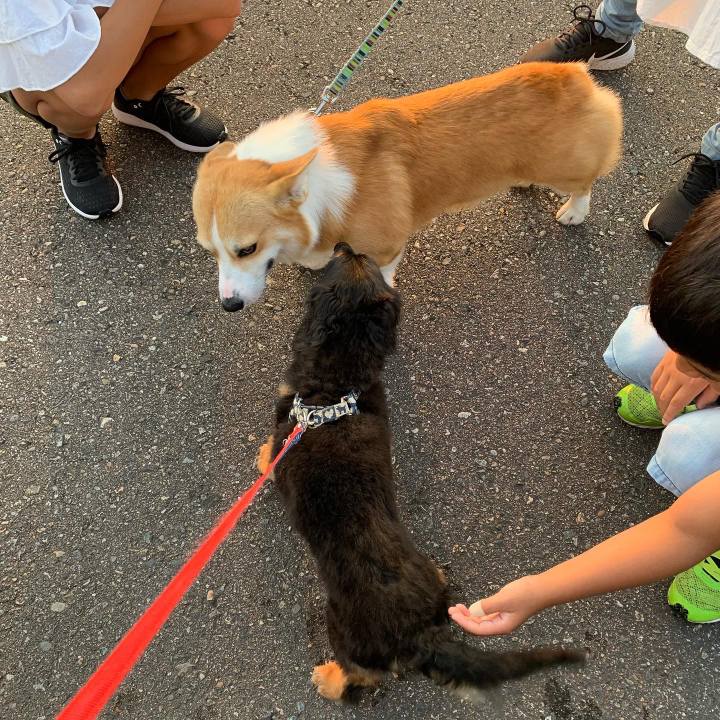 6a6e5fb0 ffeb 4112 a963 53926e3f99a1 1628113383037