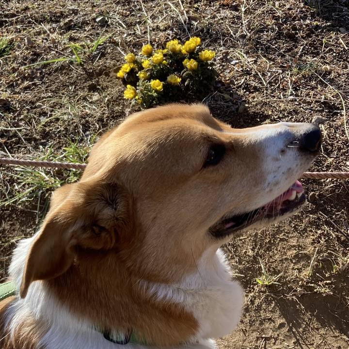 6a6e6207 c0db 4f92 9862 977f7405ae7d 1739415030513