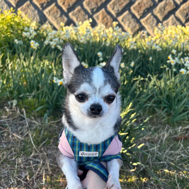 6a6e7abc 38b2 4667 ad0f d08b951f14be 1772785256337