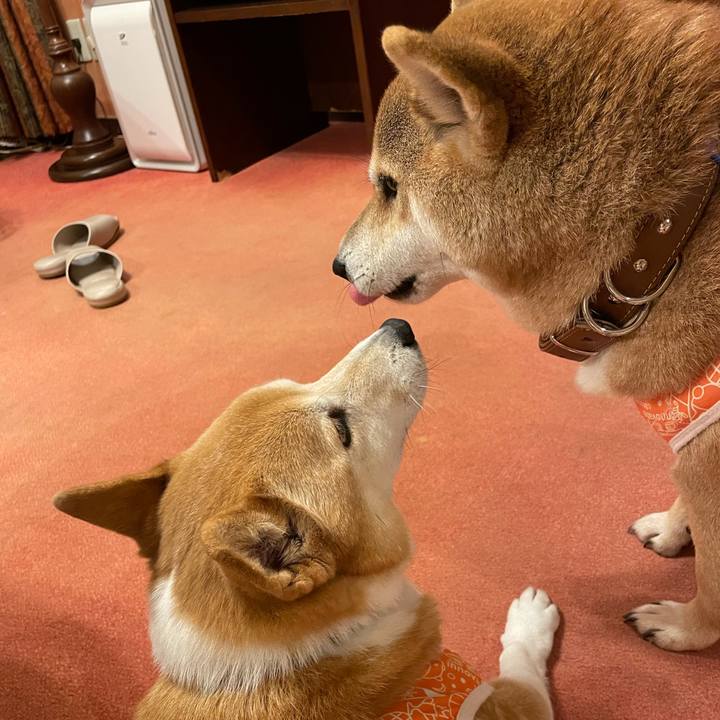 6a6ea105 ece5 4603 8ba4 48b3c86b9e46 1766169712435