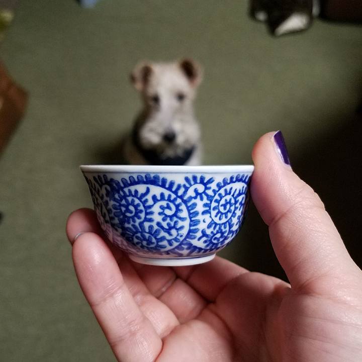 6a6ea72d 7108 46b0 96c4 4bc8887706e0 1515681849925