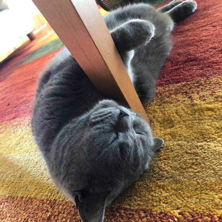 6a6ea76b dfd7 4825 833d df3141cc82c3 1516520333592