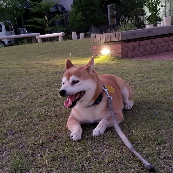 6a6ec53b 92f8 4f9a 8f8f 2655c0f738ca 1565690247270