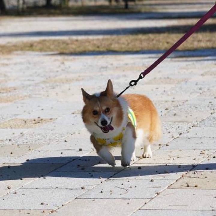 6a6ecea4 fa2c 436d a278 823325127c17 1571392529877