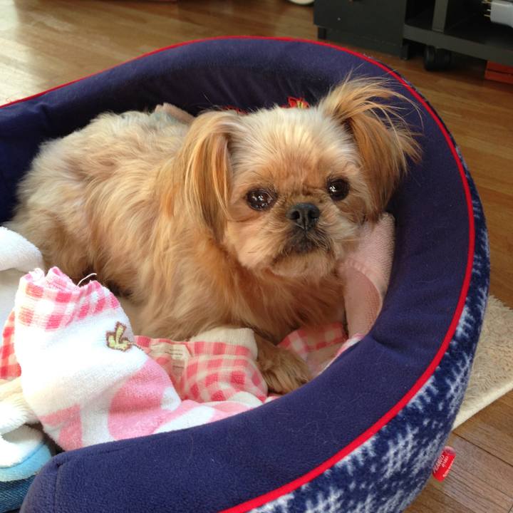 6a6f06db 2e6a 4040 bff3 90645b40516c 1661595487772