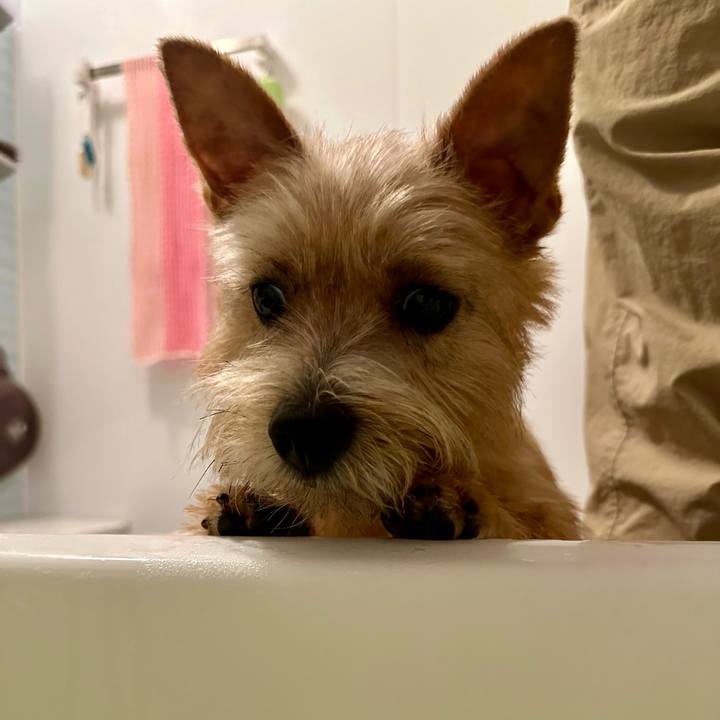 6a6f1c5e ceaa 402d 850b b8ade8617654 1728829373245