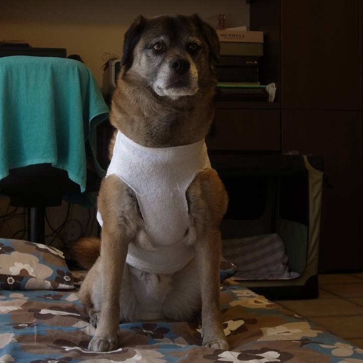 6a6f28d6 0428 4537 85b3 a6f557568e85 1585905352401