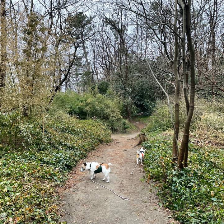 6a6fee8e 6dc7 420a bdf2 4810ed35c088 1647218876081