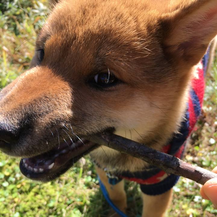 6a70631d adf1 45d5 9db7 3931c646904e 1509745107575