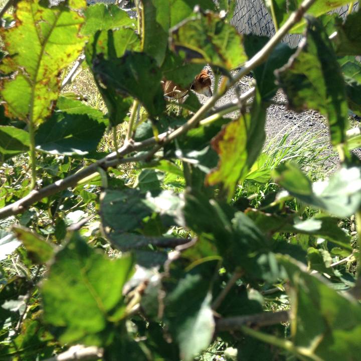 6a707a76 504c 4c89 a66b 0bfbe34e3a80 1538809278741