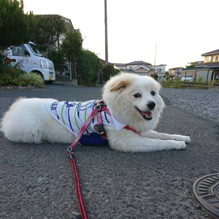 6a708d55 349b 4f46 b6ad 9280c3b14ea9 1534971997699