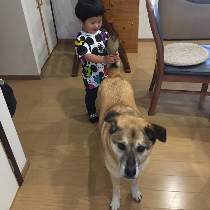 6a708ea4 64e5 4c35 be5a 6e7c7a0a1848 1527997332946