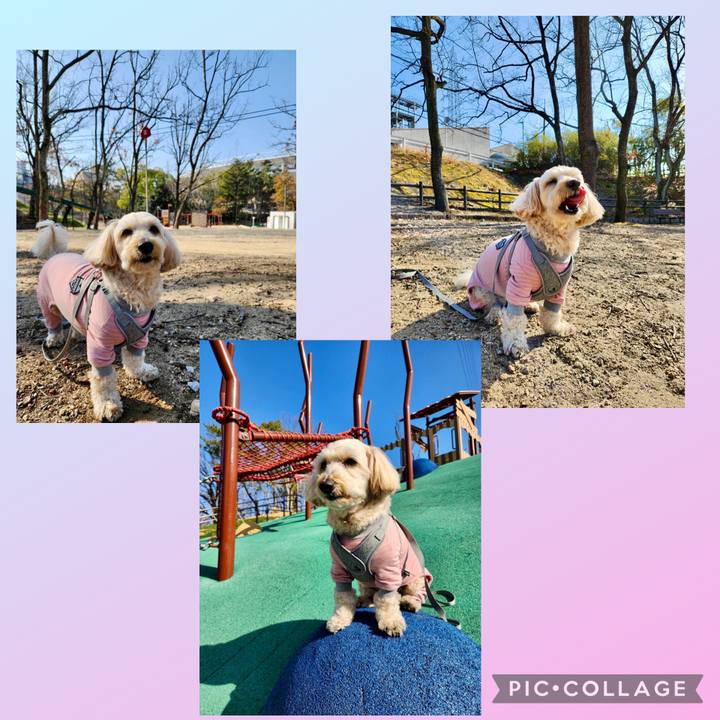 6a708ed7 46bf 4e4d 8038 b437a11e9b7e 1768537236702