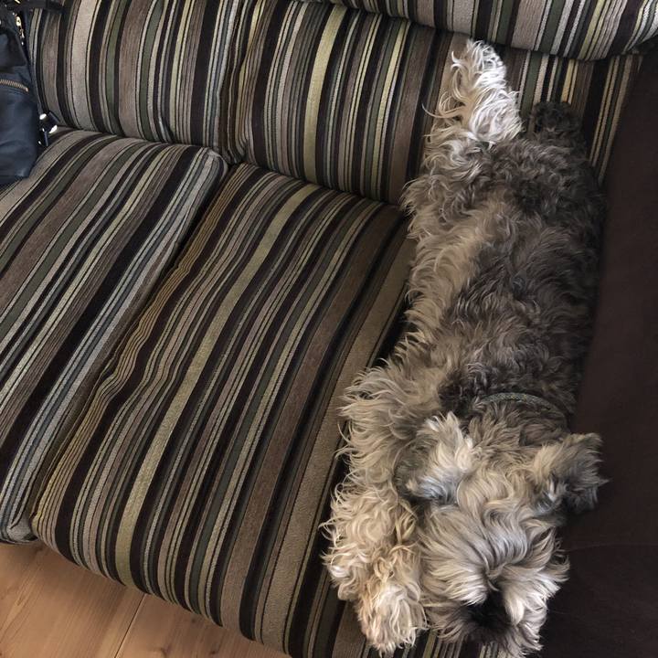 6a709724 ccee 411b bea8 28a31cbb3187 1591505812921