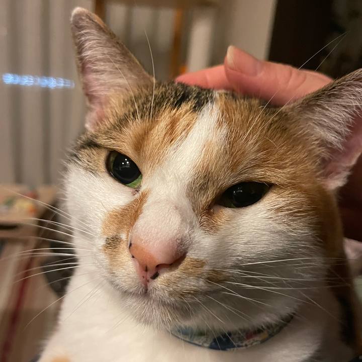 6a7097c6 d8aa 4ed6 9650 82687651a079 1724843600291