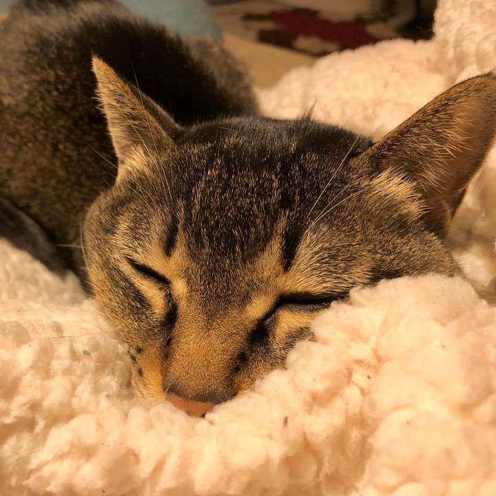 6a709bb6 3ad2 4e2a 9db2 cffae3cc3c1f 1707552059269