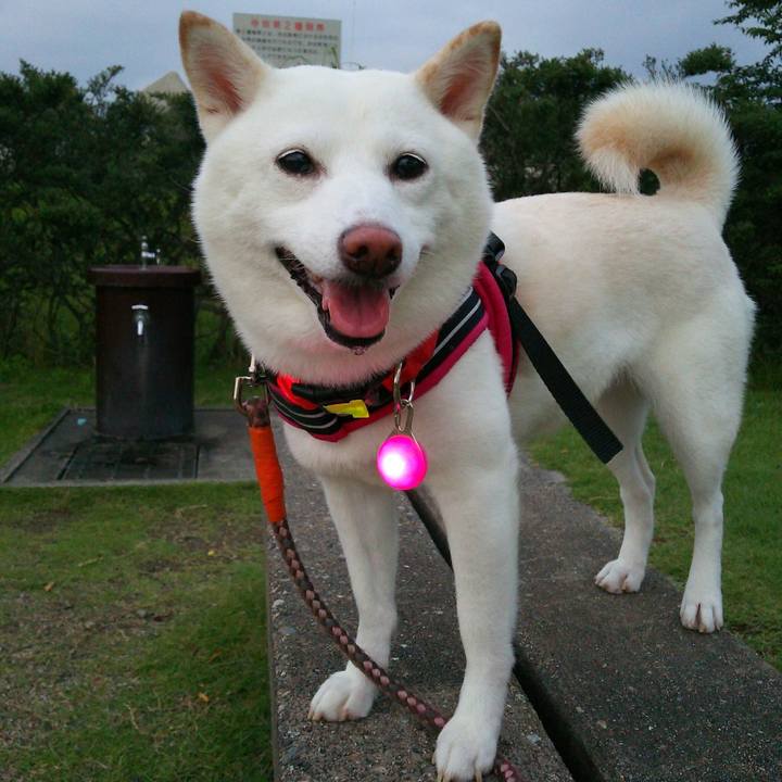 6a70ac58 8faf 4941 98c2 d3546997c3f2 1564320787817