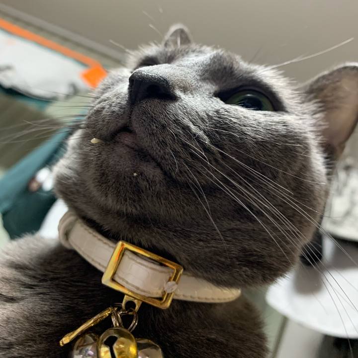 6a70aded ac3e 439b 8be0 8a08b0b36564 1675338821422