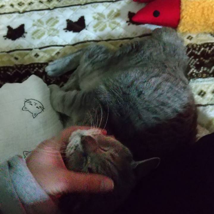 6a70b659 cb03 4088 886c 16fa149cdda8 1675157492511