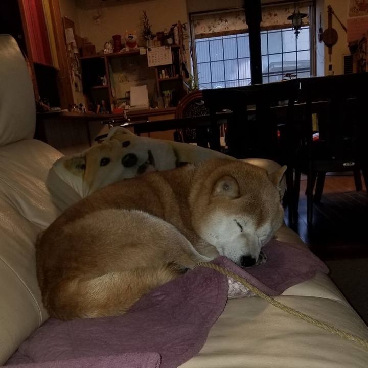 6a70c751 ba4a 4031 bf5f b3299f9a093c 1667166211238