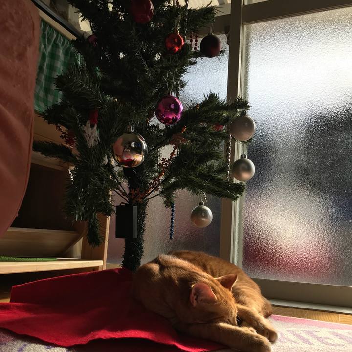 6a70dad3 6ff4 4f14 9e07 9adfb37916c5 1512356000745