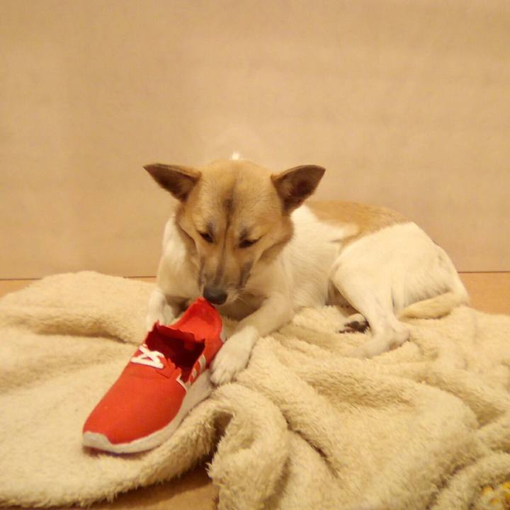 6a712c3f 5641 4560 b56a 84fc5a4ee085 1517146478334