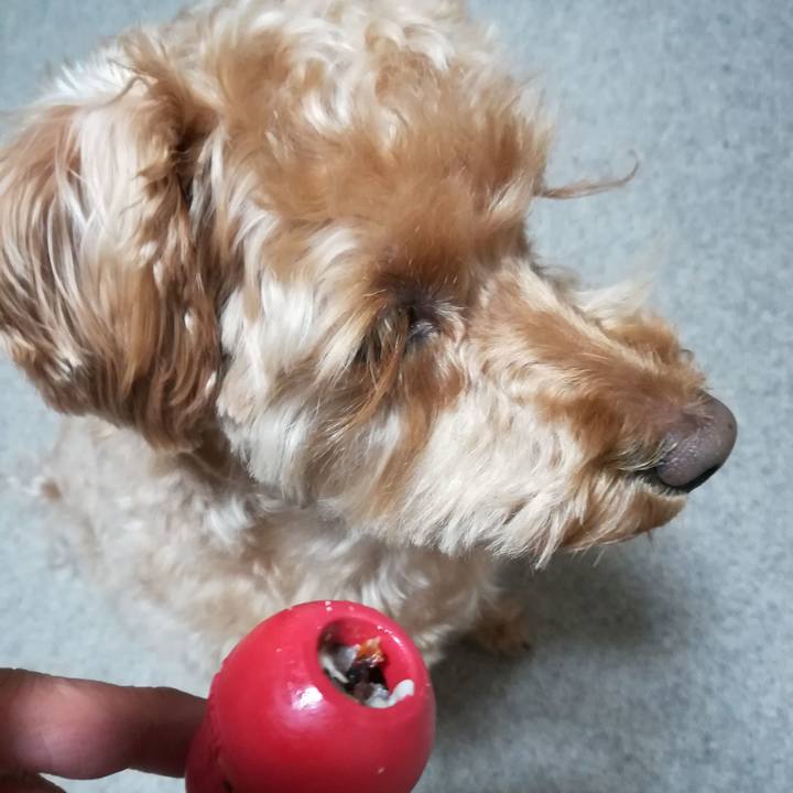 6a7131d1 f49b 4e8d 85a9 3e0622c6c011 1552822618463