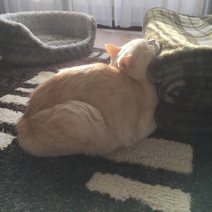 6a714422 760c 4936 a5b7 73bf1edfe615 1516405481764