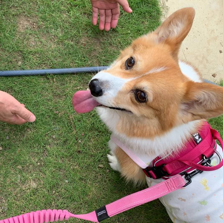 6a7147d6 2915 4b99 8680 4989b810930c 1661474581916