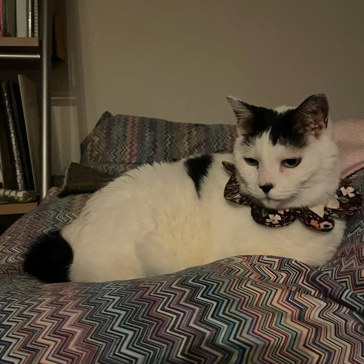 6a71587c 16b8 415e a67f 9752a111ec60 1679144957599