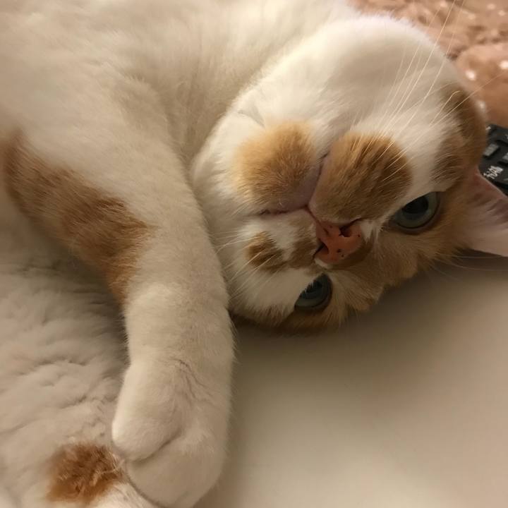 6a715a63 723a 4ced a491 4589a0957c5e 1521027708161