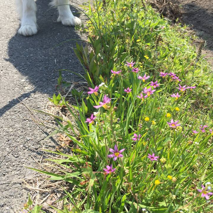 6a7160f1 18d0 43f2 8a43 71d7fe0e5dd0 1588296556515