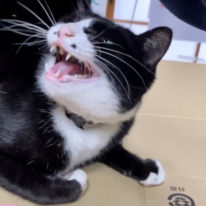 6a71aecc 0c8b 4353 b06d 35c7d9c2518d 1735239936014