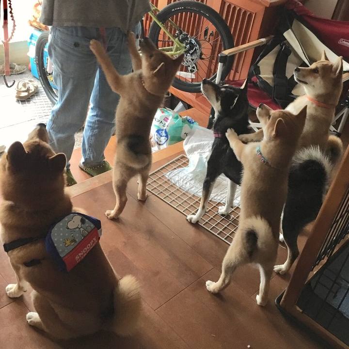 6a71fecf 5836 4ad4 bdd3 7a5e17fd0871 1564230361459