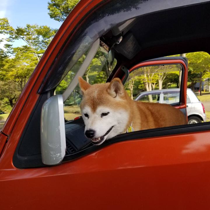 6a720c2f 2344 4bb5 9b7d 4bf14c36f09f 1664090795276