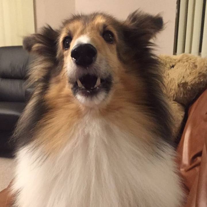 6a7224b7 46c2 43a5 ad50 67d5748ec6e1 1584200360362