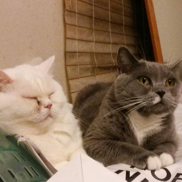 6a724e2e 0913 453a 8b5d f7b8135570d5 1569748024011